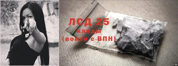 гидра Володарск