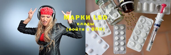 гидра Володарск