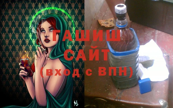 гидра Володарск