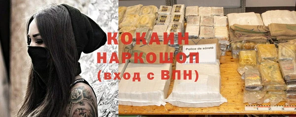 гидра Володарск