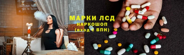 гидра Володарск