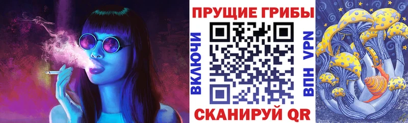 Галлюциногенные грибы Magic Shrooms  Лодейное Поле 